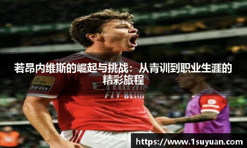 Bsports网页版