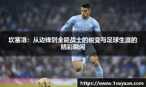 bsports登录入口