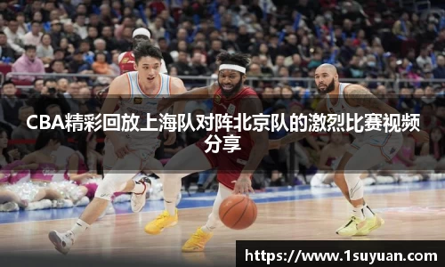 bsports官网入口