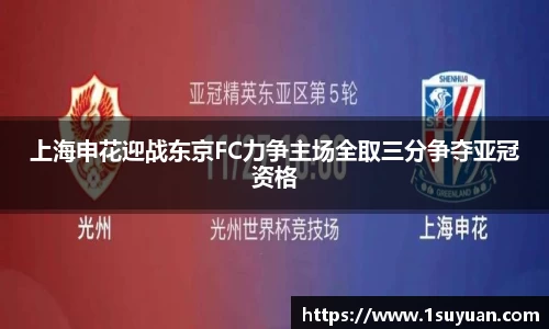 bsports登录入口