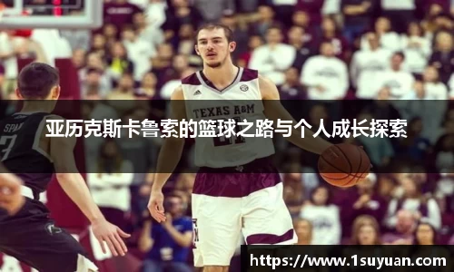 bsports官网入口