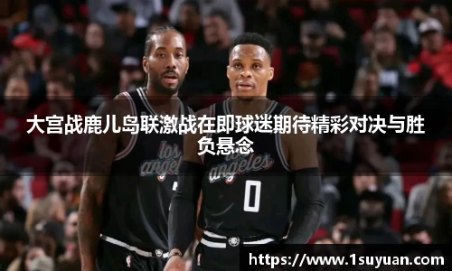 bsports登录入口