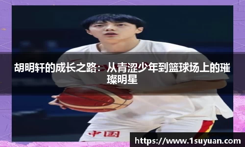 bsports官网入口