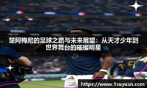 Bsports网页版