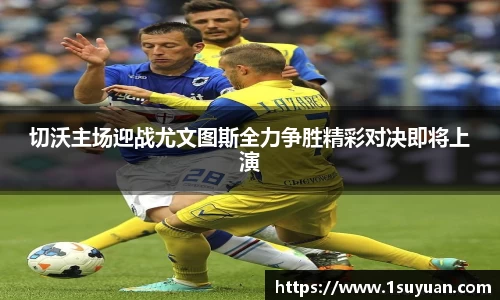 bsports官网入口