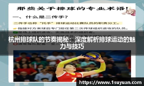 bsports官网入口