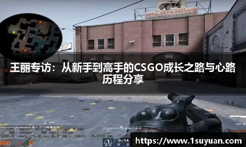 Bsports网页版