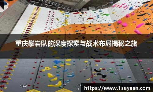 bsports官网入口