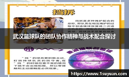 bsports官网入口