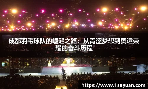 bsports登录入口